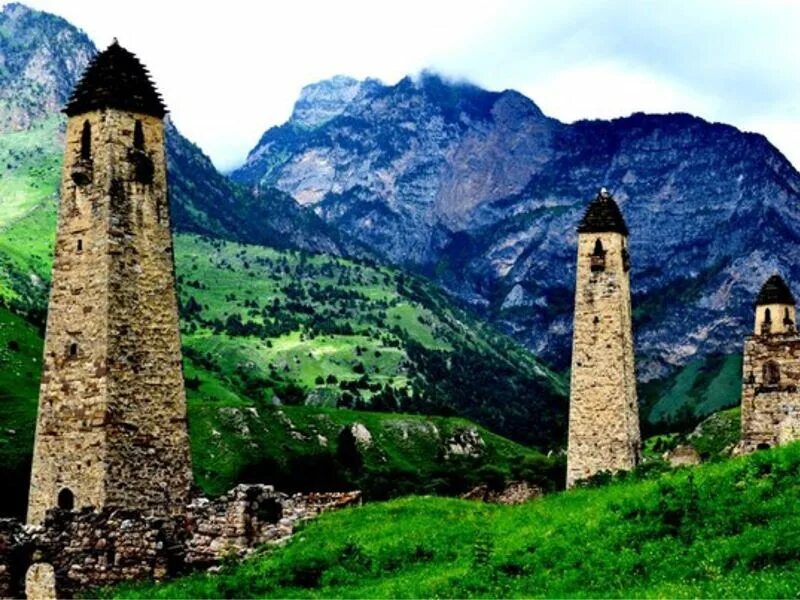 Сан даймохк фото. Башня картоевых ингушетия. Сторожевые башни чеченской республики. Национальный парк даймохк. Рисунок даймохк.