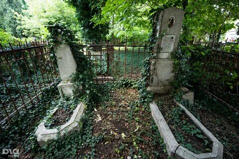 Могилы краснодар