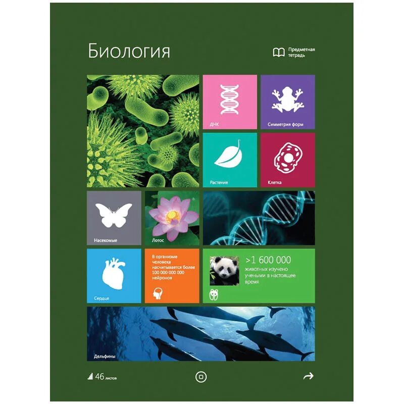 Украшения для тетрадки по химии. Как оформить тетрадь по биологии. Оформление тетради по биологии. Оформления тетради по биол. Рисунки для конспектов.