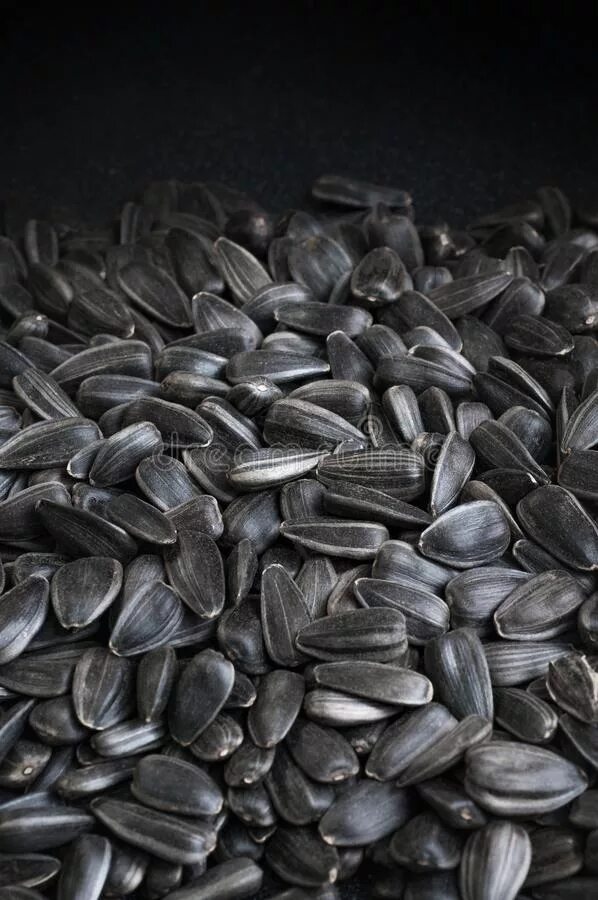 Витамины в семечках подсолнуха. Что содержится в семенах подсолнуха. Влияние семечек. Семечки при кето. Рассыпанные семечки.