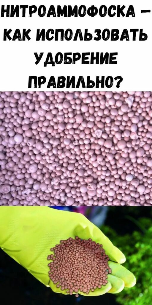 Нитроаммофоска удобрение применение на огороде. Нитроаммофоска удобрение 16:16:16. Нитроаммофоска 161616. Нитро удобрения. Нитроамофосные удобрения.