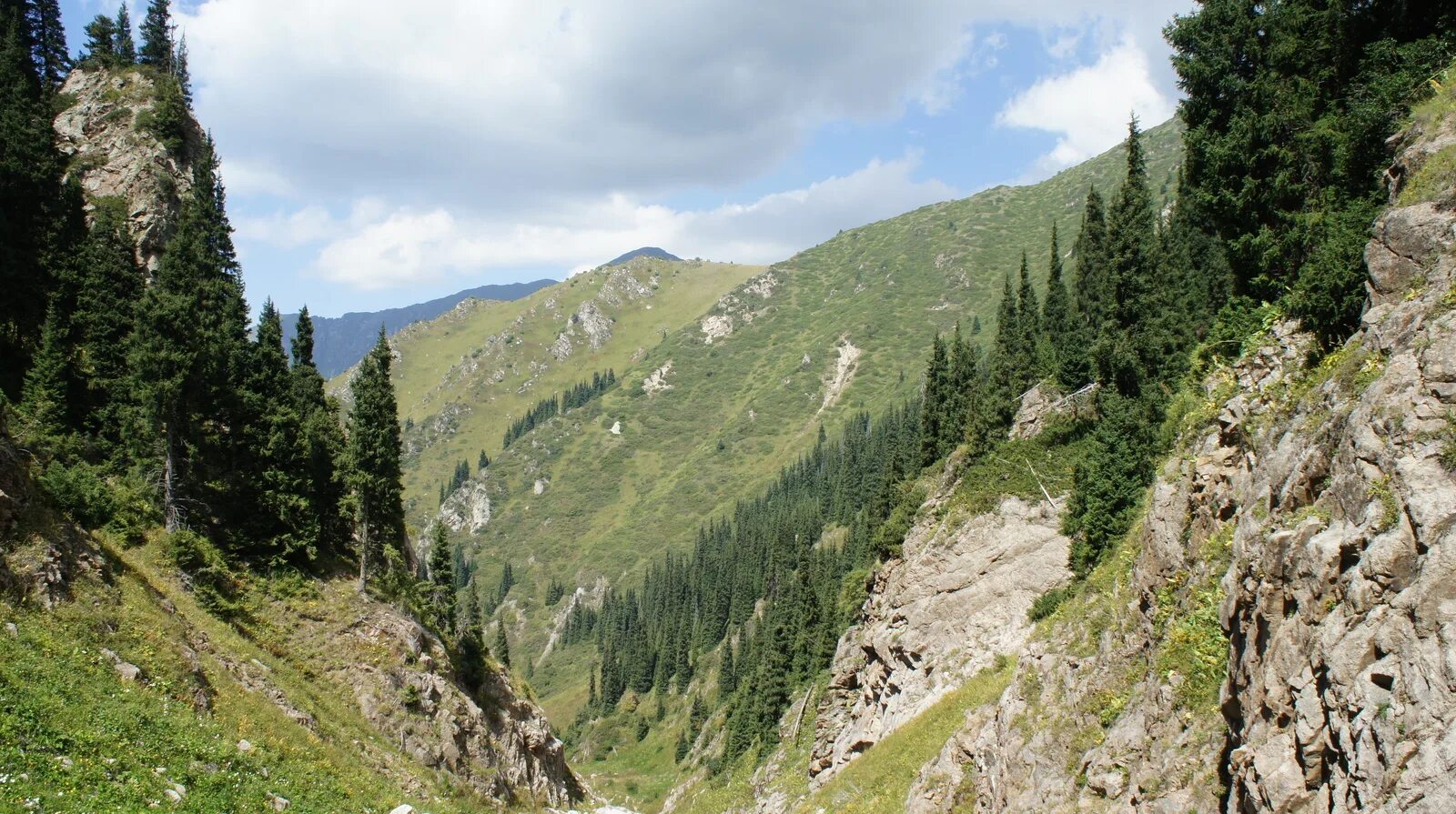 Безенгийская стена кабардино-балкария. Поляна казахстана. Горнистый. Торрес дель пайне. Солигорские терриконы беларусь.