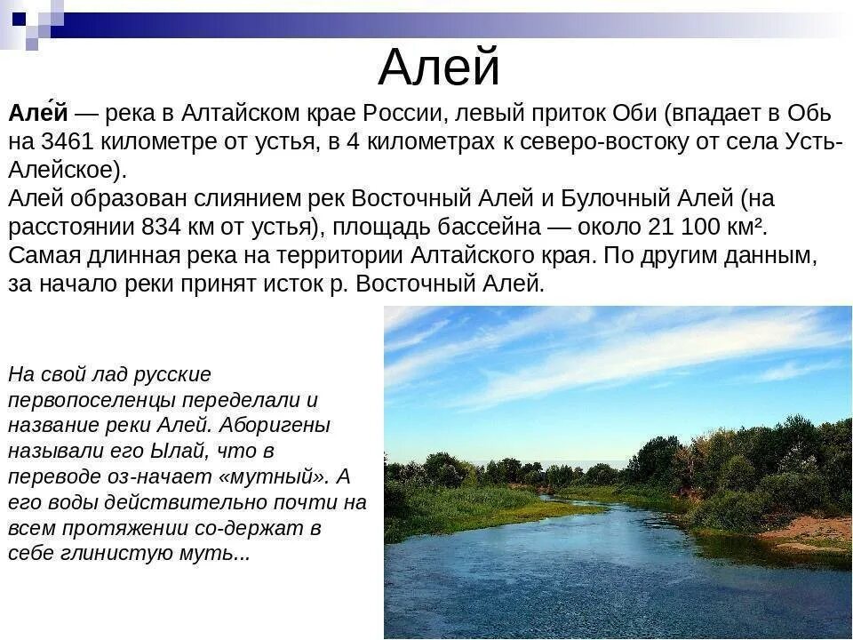 Алей как переводится