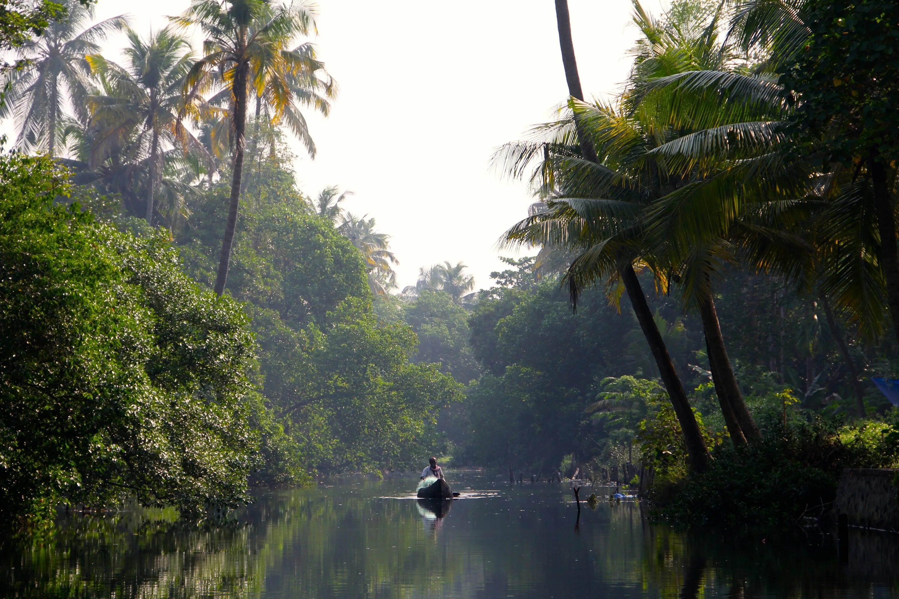 Jungle river