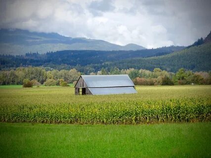 Farmland
