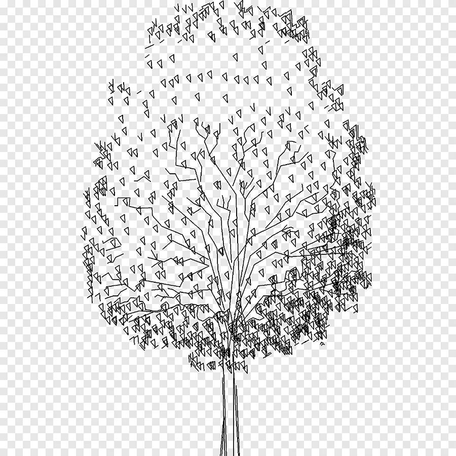 Дерево чертеж. Чертежные деревья. Деревья для фотошопа на прозрачном фоне графические. Дерево контур Графика.