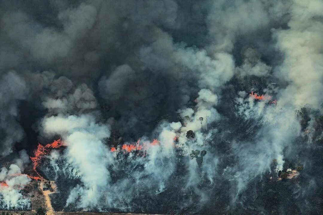 Fire on the amazon 93 го