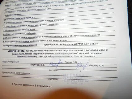 Протокол вскрытия перитонит