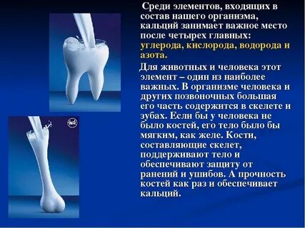 Ca входит в состав