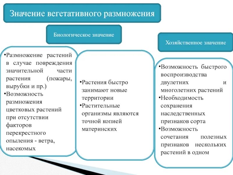 Какое значение имеет вегетативное размножение в природе. Значение вегетативного размножения 6 класс биология. Биологическое значение вегетативного размножения 6 класс. Биологическое значение вегетативного размножения растений. Роль вегетативного размножения растений в природе и жизни человека.