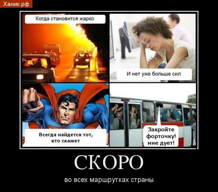 становится душно становится жарко. вспотел от страха. напоите бездомных животных. горячо мем. смешные мемы про жару.