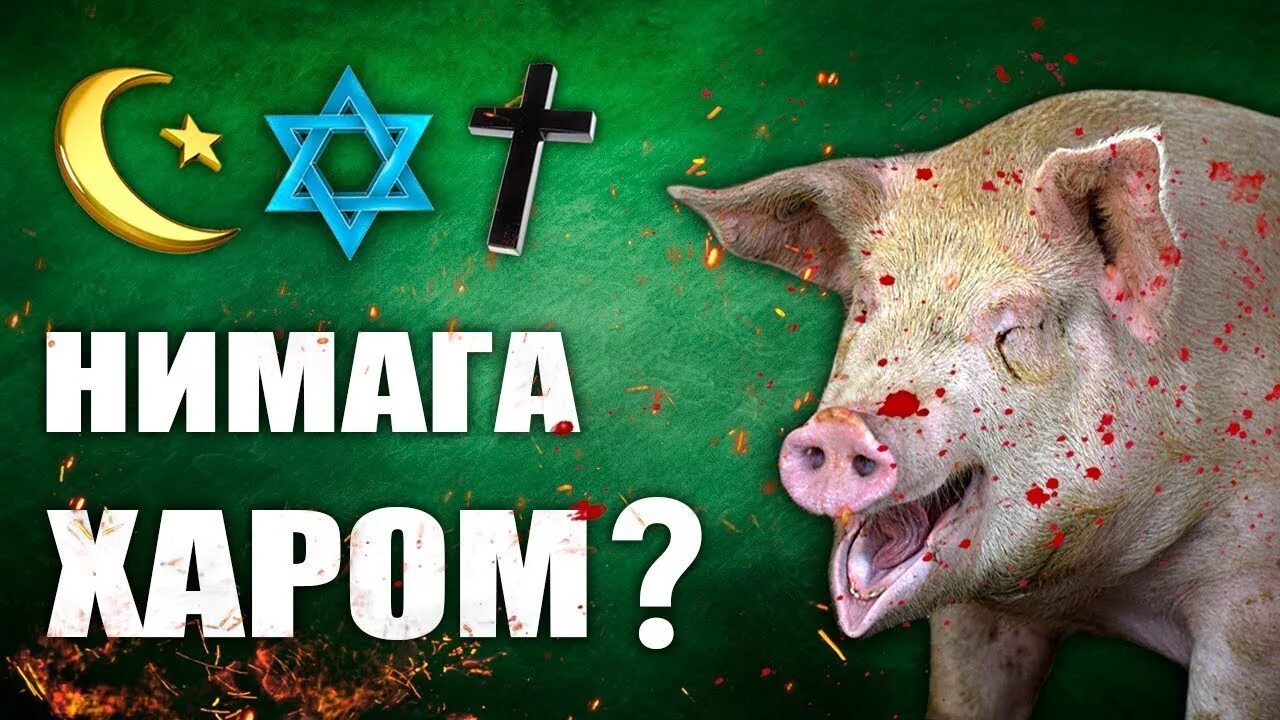 Нима ни