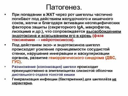 Холера патогенез