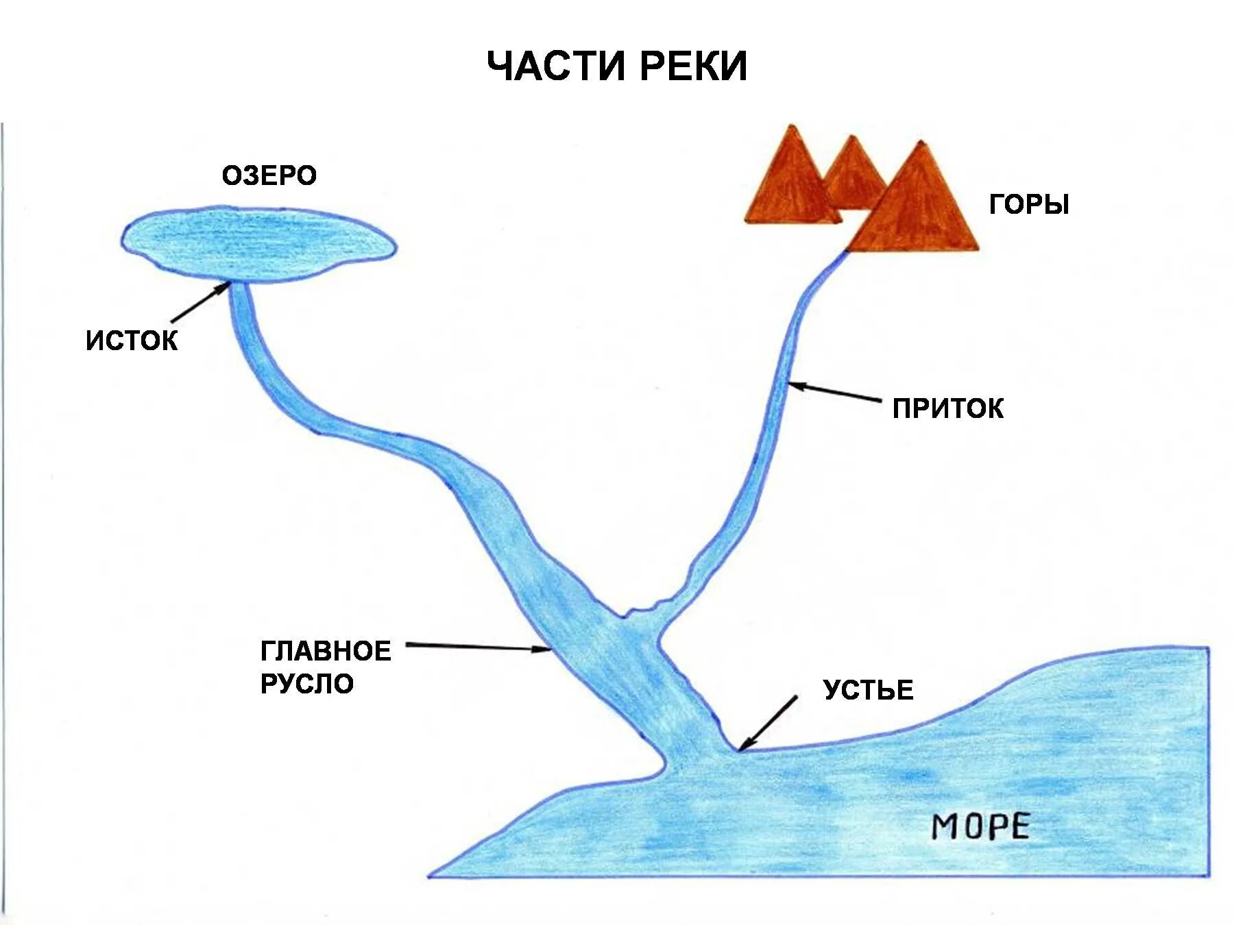 Схема Исток русло Устье приток. Схема реки Исток русло Устье. Схема реки Исток приток Устье. Устье Исток русло части реки. Реки образуются в результате