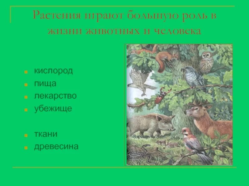 Как животные играют роль в человеке. Роль растений в жизни животных. Роль животных в жизни человека. Рольб животных в жиничеовека. Роль растений для животных.