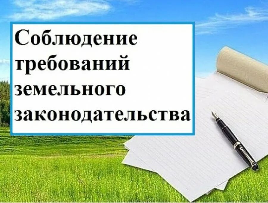 Земельный контроль рф. Требования соблюдения земельного законодательства. Государственный земельный надзор. Осуществление государственного земельного надзора. Государственный земельный надзор Росреестр.