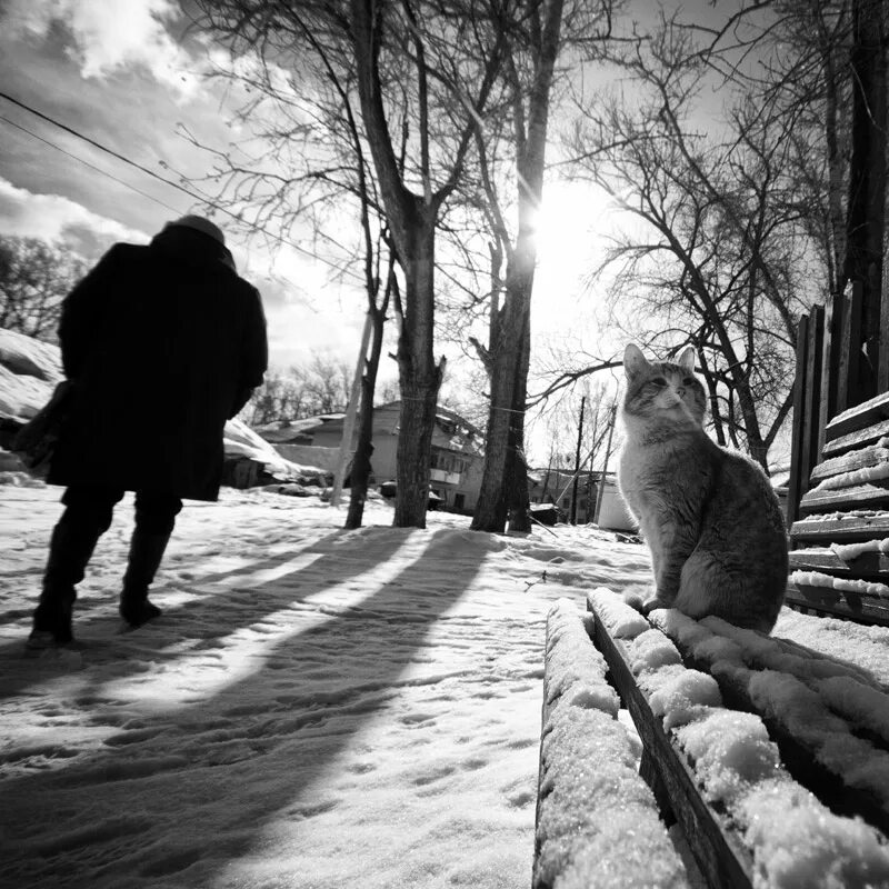 Одиночество в толпе. Равнодушие картинки. Мимо закрытый. Мимо закрытый. Мимо закрытый.