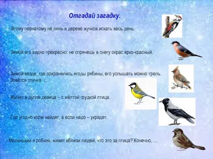 Найти птичек ответы