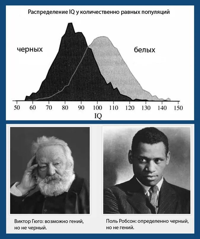 Распределение IQ. IQ разных рас. Средний IQ разных рас. Распределение IQ по расам. Сравнение черного и белого