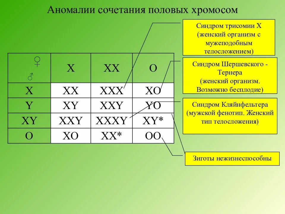 Следующую комбинацию
