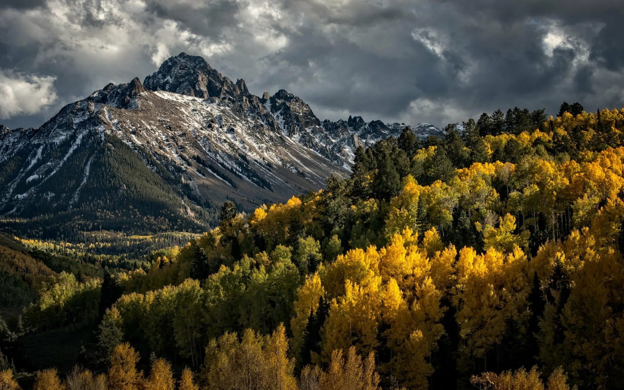 Фото лес и горы. Лес горы. Осень в горах. Лесистые горы. Горный лес.