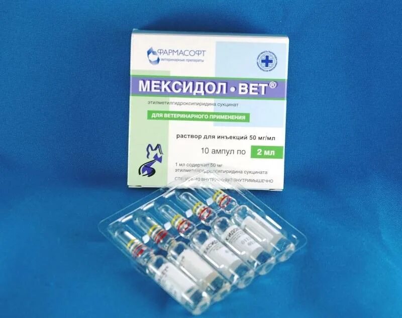 Мексидол уколы 5 мг. Мексидол р-р амп 50мг/мл 5мл х 5 эллара. Мексидол введение. Мексидол ампулы 10 мл. Мексидол введение.