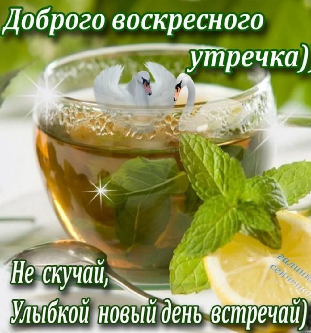 Доброе утро друзья с воскресеньем. Открытки с добрым воскресным утром. доброго воскресенья. с добрым утром воскресенья. открыточку с добрым воскресным утром.