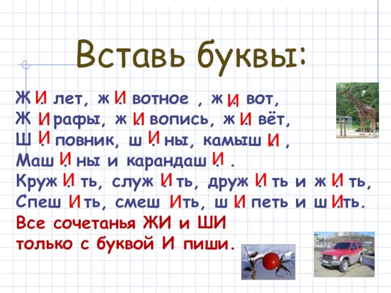 Диктант 1 класс жи ши. Слова с жи ши. Диктант жи ши ча ща Чу ЩУ 1 класс. Предложения на правило жи ши.