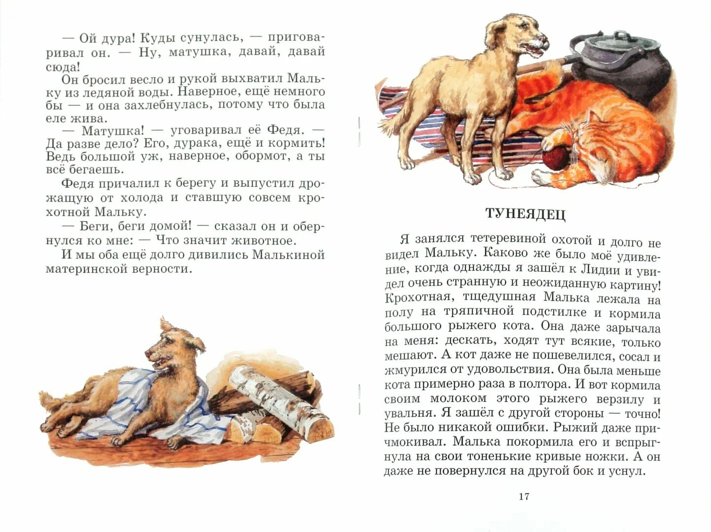 Что означает слово мальки. Белов малька провинилась книга. Рассказы Белова про мальку.