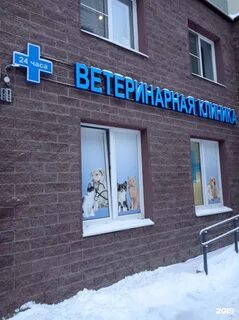 Велес ярославль