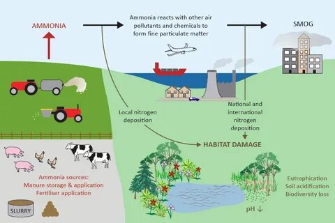 The environment consequences