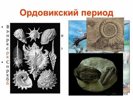 Название самых древних эр