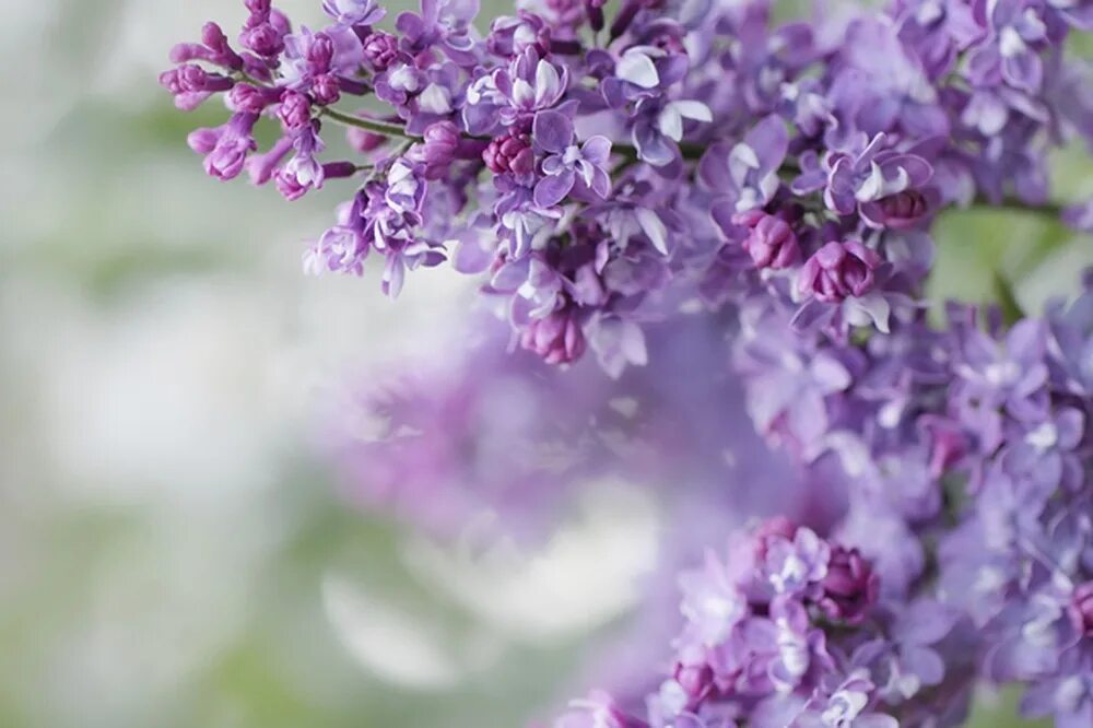 Запись на апрель открыта. Запись на май открыта маникюр. Запись на июнь. Май открыт. Запись на апрель открыта картинки.