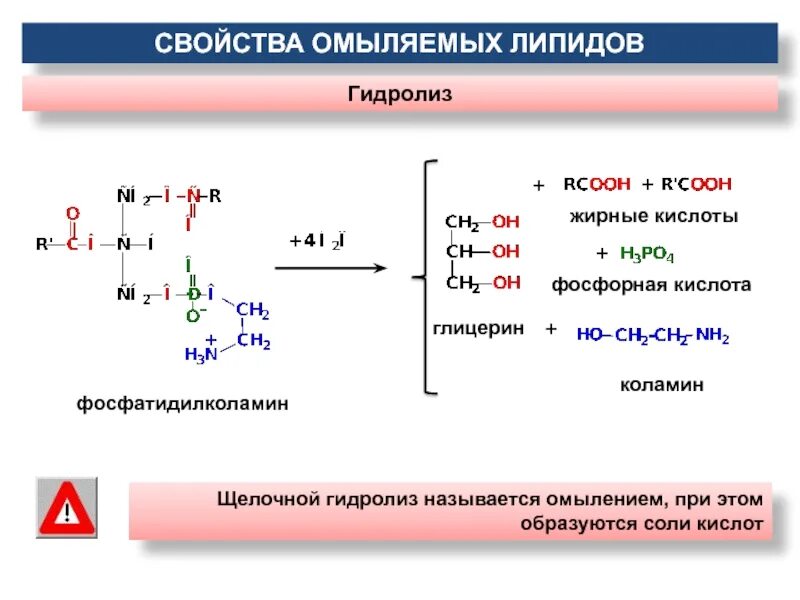 При щелочном гидролизе образуется