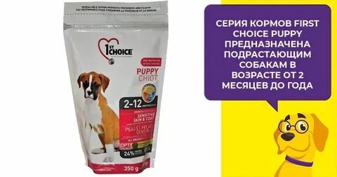 Choice для собак