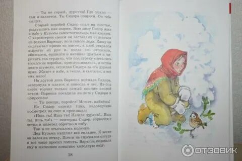 Читательский дневник паустовский