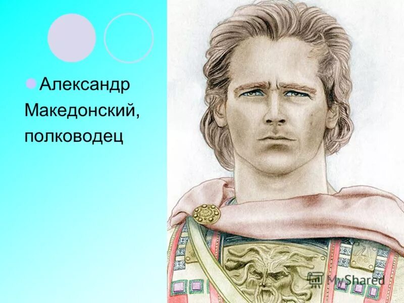 Сколько лет было александру. Сколько лет было александру