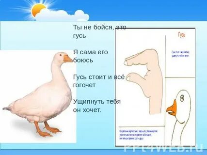 Стоим гуся