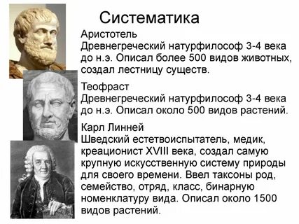 Становление систематика как науки связывают с именем