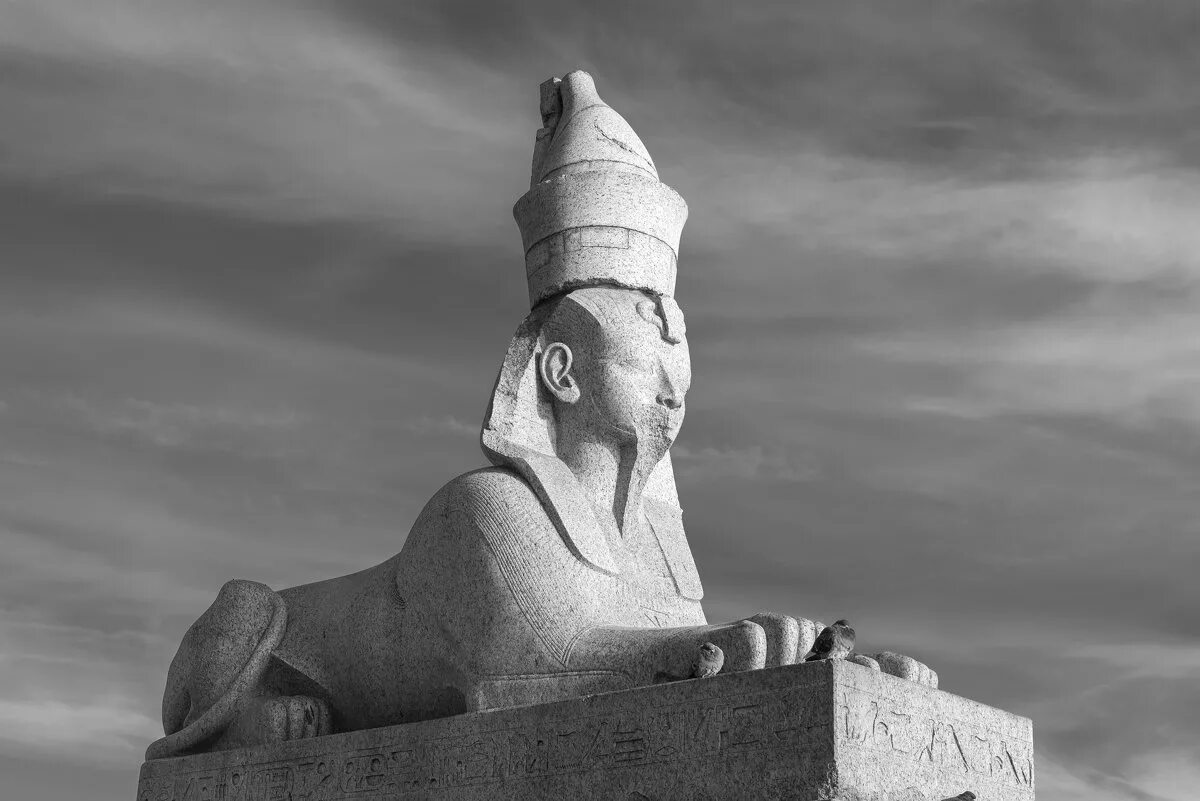 сфинксы фараона аменхотепа iii. сфинксы фараона аменхотепа iii. 3 живопись. сфинксы на университетской набережной. сфинкс с лицом аменхотепа iii (из санкт-петербурга) (1386 – 1350 гг.