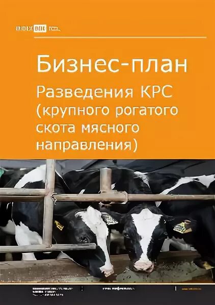 Бизнес план тепличного хозяйства. Бизнес план крупного рогатого скота. Бизнес план на разведение крс. Бизнес план на разведение крс. Бизнес план на выращивание.
