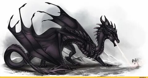 Гебридский черный дракон - фото и картинки (118 фотографий) .