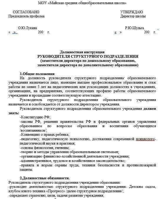Должностные обязанности организатора школы. Должностная инструкция директора школы. Должностные инструкции сотрудников предприятия. Должностная инструкция директора предприятия. Должностная инструкция функционального руководителя.