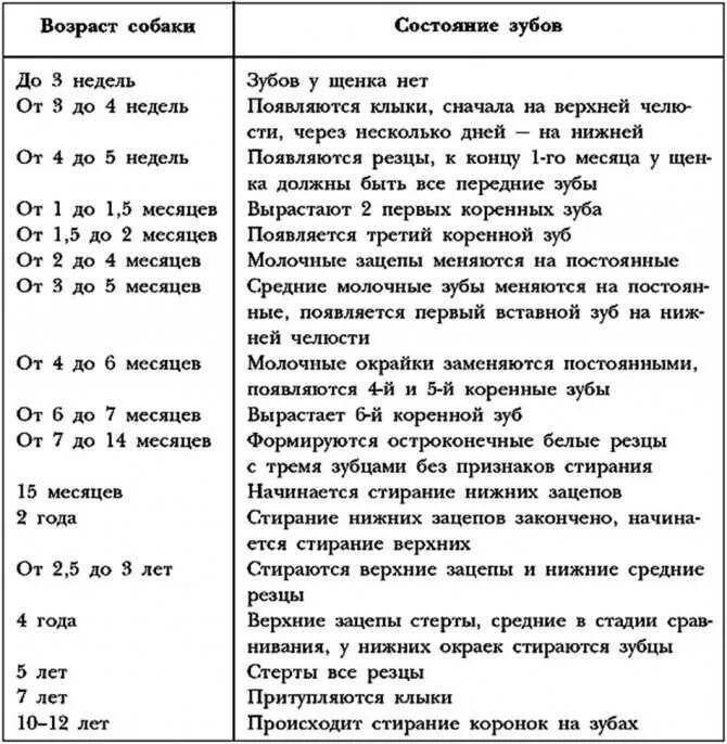 C определить возраст. Как по зубам определить Возраст собаки немецкой овчарки. Возраст щенка овчарки по зубам. Определение возраста собаки по зубам. Возраст собаки по зубам таблица.