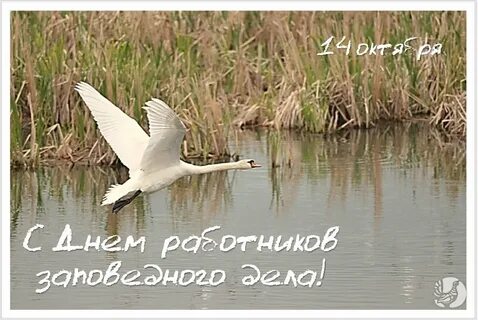 День заповедного работника