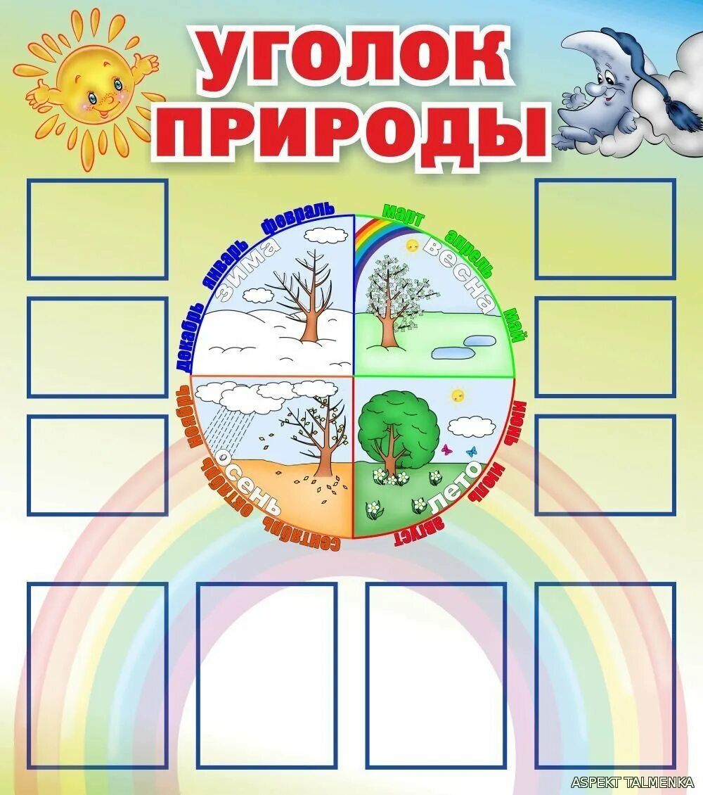 Картинка уголок природы в детском саду. Стенд &quot;уголок природы&quot;. уголок природы в школе. стенд уголок природы для детского сада. уголок календарь природы в начальной школе.