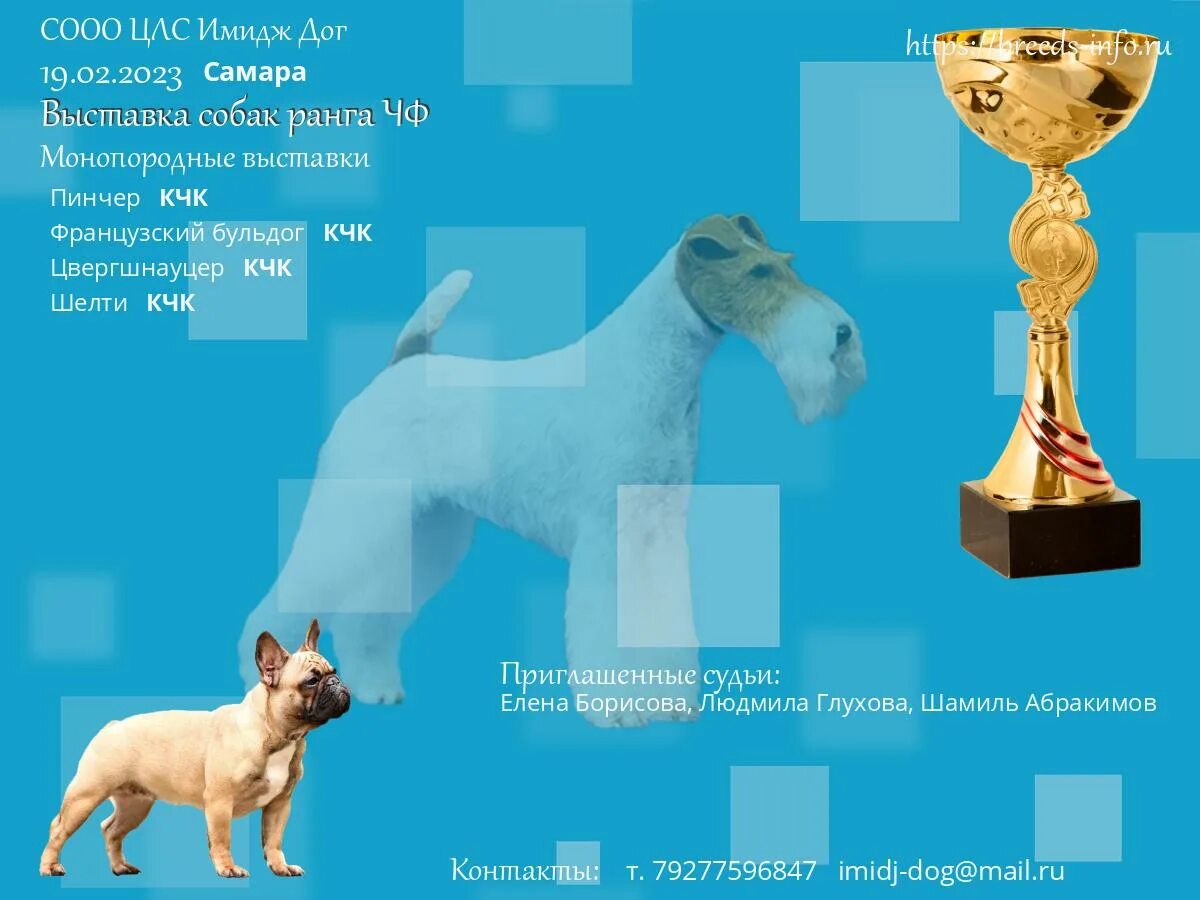 Выставка собак график. Монопородные выставки собак. выставки собак в калининграде в 2025. выставка собак тюмень 2025. собаки приморья выставки 2025.