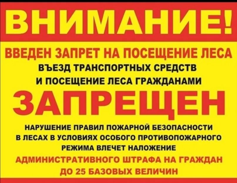 Посещение запрещены. Запрет на посещение лесов. ограничение пребывания граждан в лесах. посещение лесов запрещено. ограничение посещения лесов.