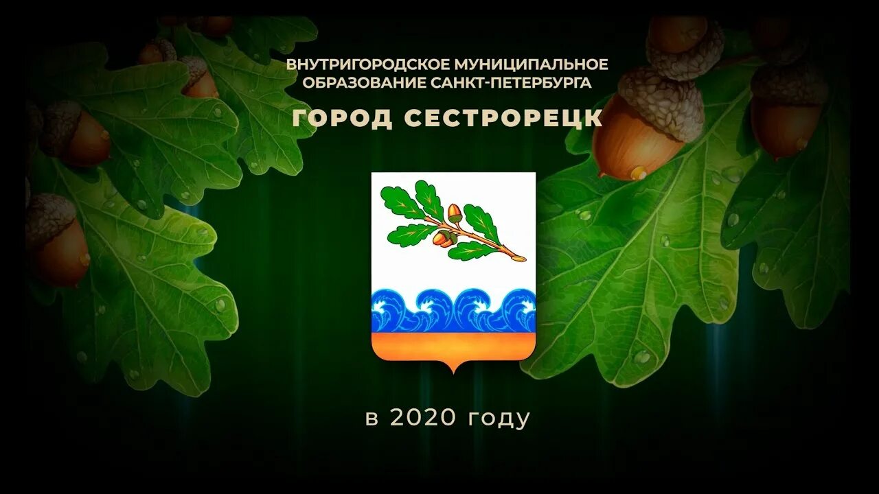 Сестрорецк запись. Сестрорецк герб города. муниципальное образование сестрорецк. символ сестрорецка. муниципальное образование город сестрорецк логотип.