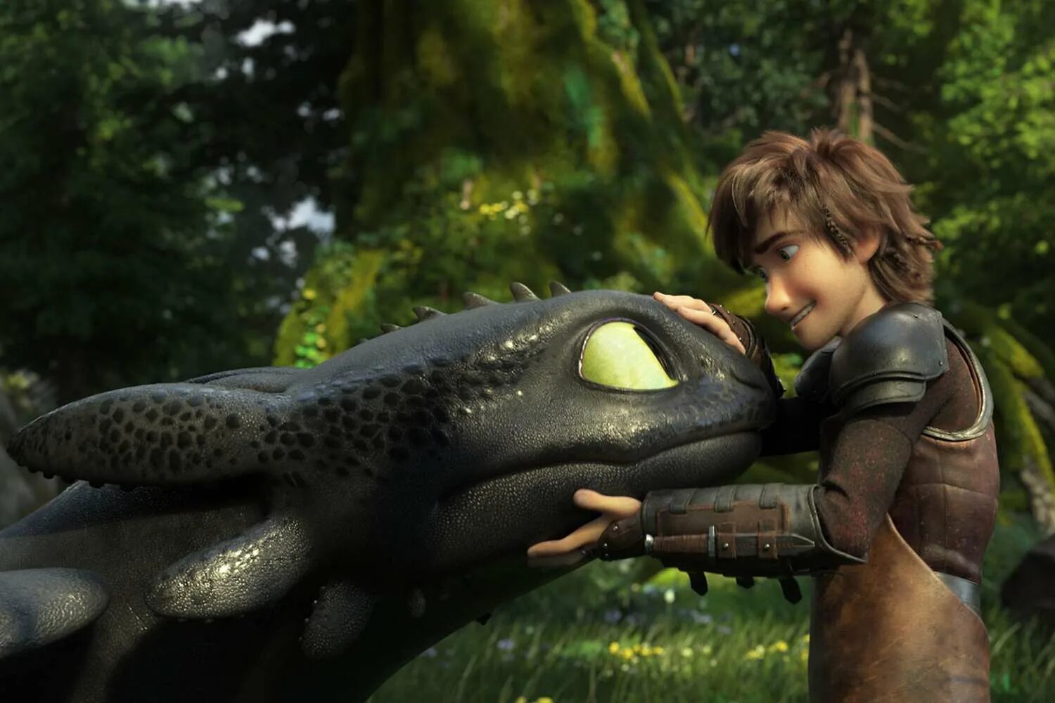Как приручить дракона 4 2025 дата выхода. Как приручить друкона3. httyd 3. toothless live action.